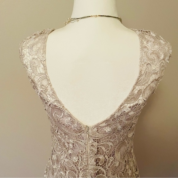 Francesca’s Lace Overlay Mini Dress – Silver/White, Elegant, Size Medium - Picture 7 of 13